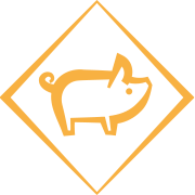 Ça l'air Cochon